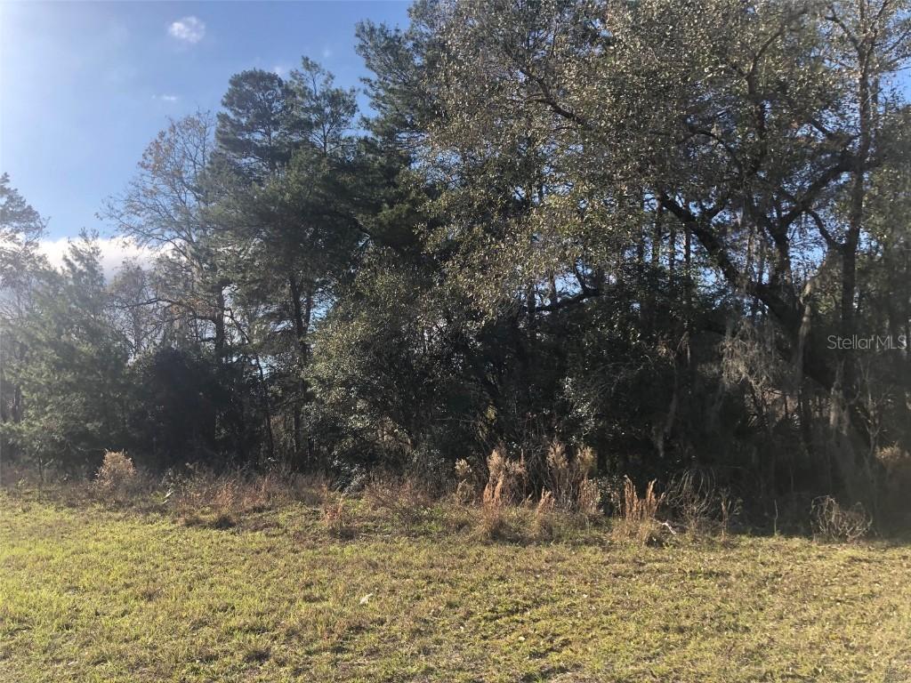 Marion Oaks Unit 9, Ocala, FL 34473