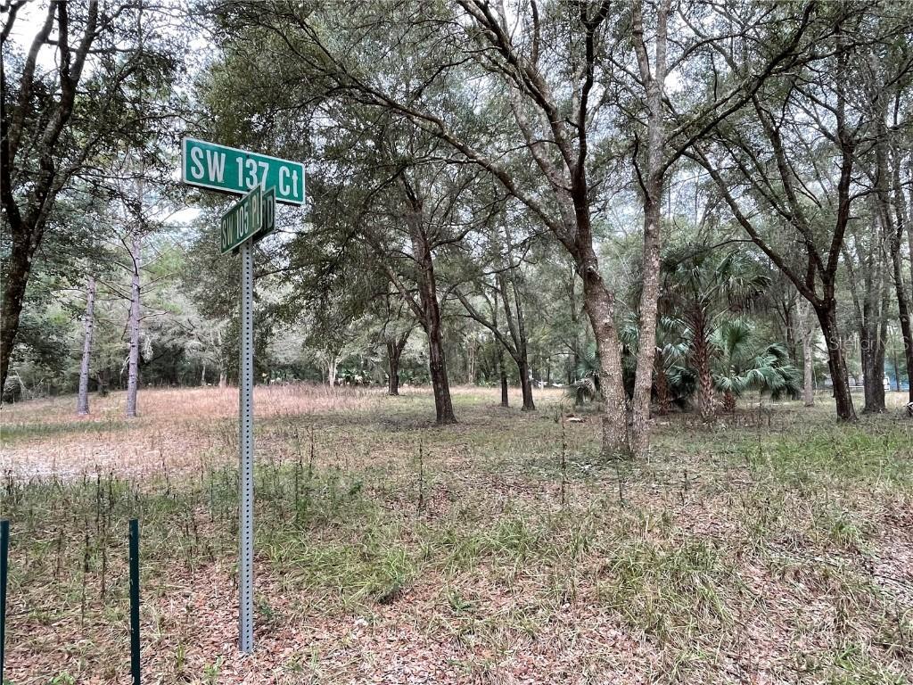 TBD SW 137th Court Rd, Ocala, FL 34481