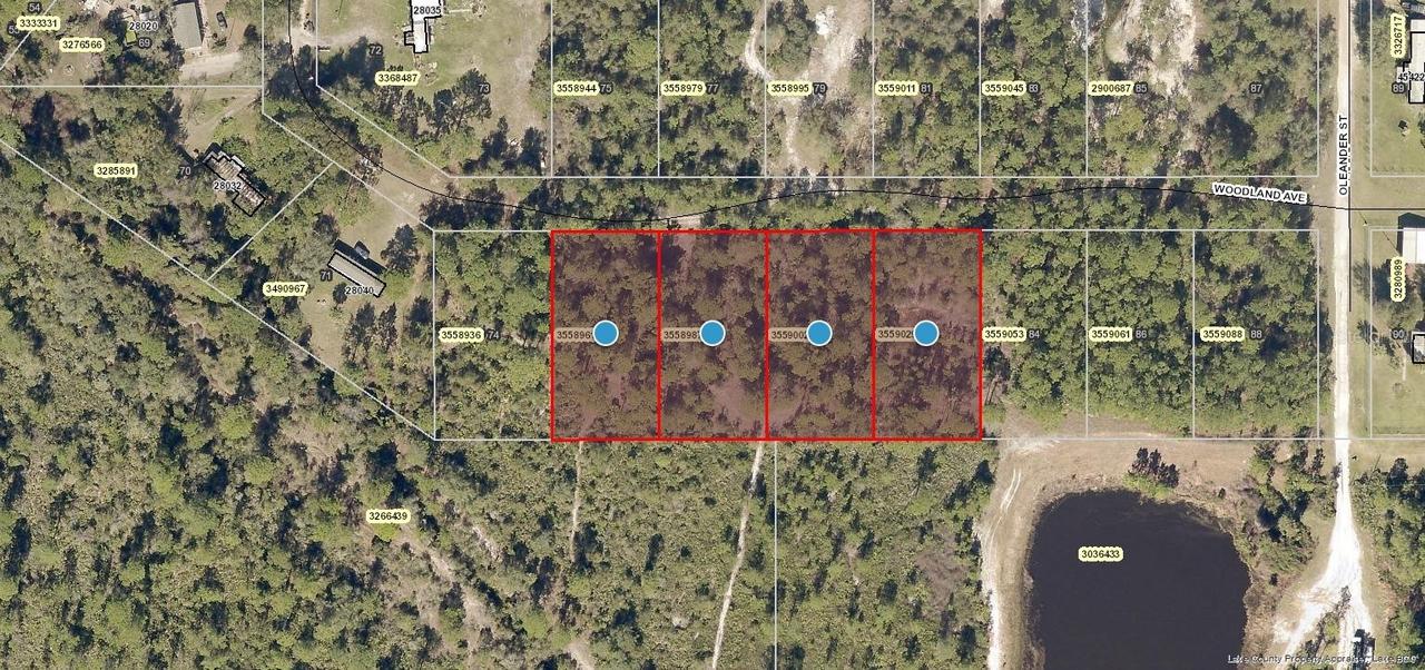 Woodland Ave., Paisley, FL 32767