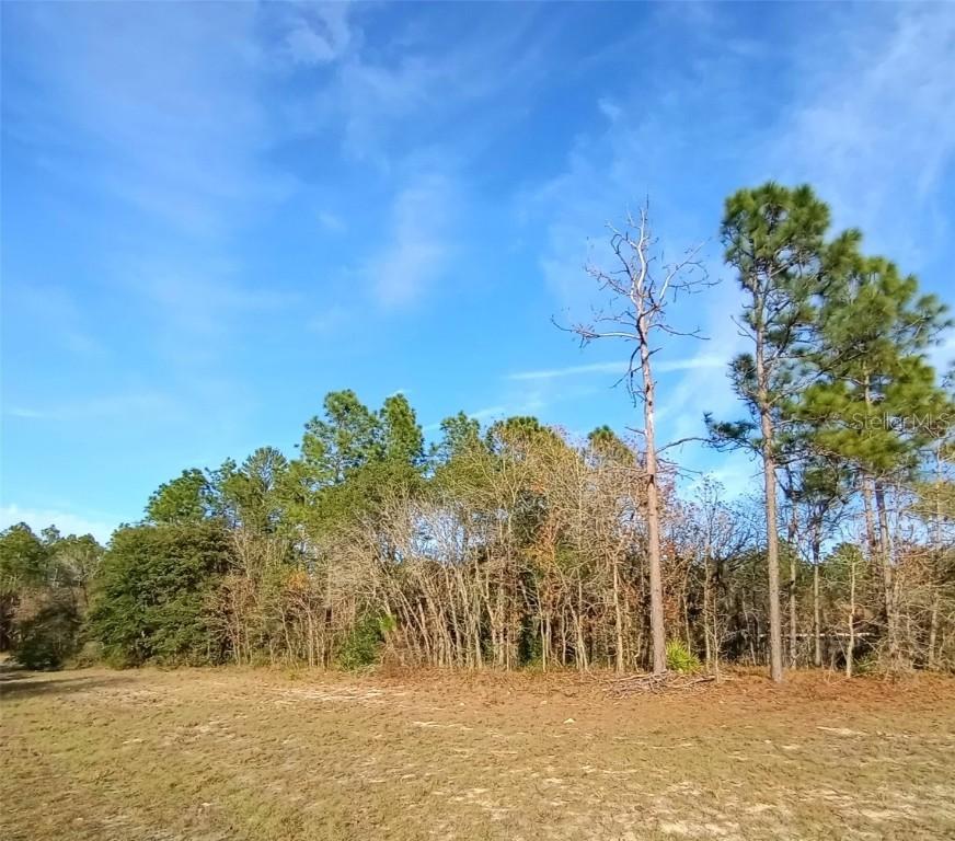 SW 131st Pl., Ocala, FL 34473