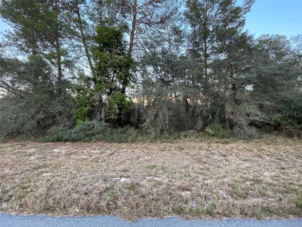 TBD SW 38th Ave., Ocala, FL 34476