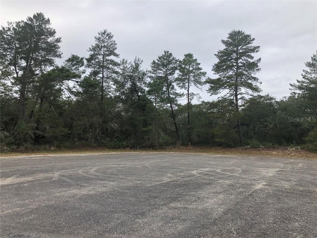 TBD SW 32nd Cir., Ocala, FL 34473