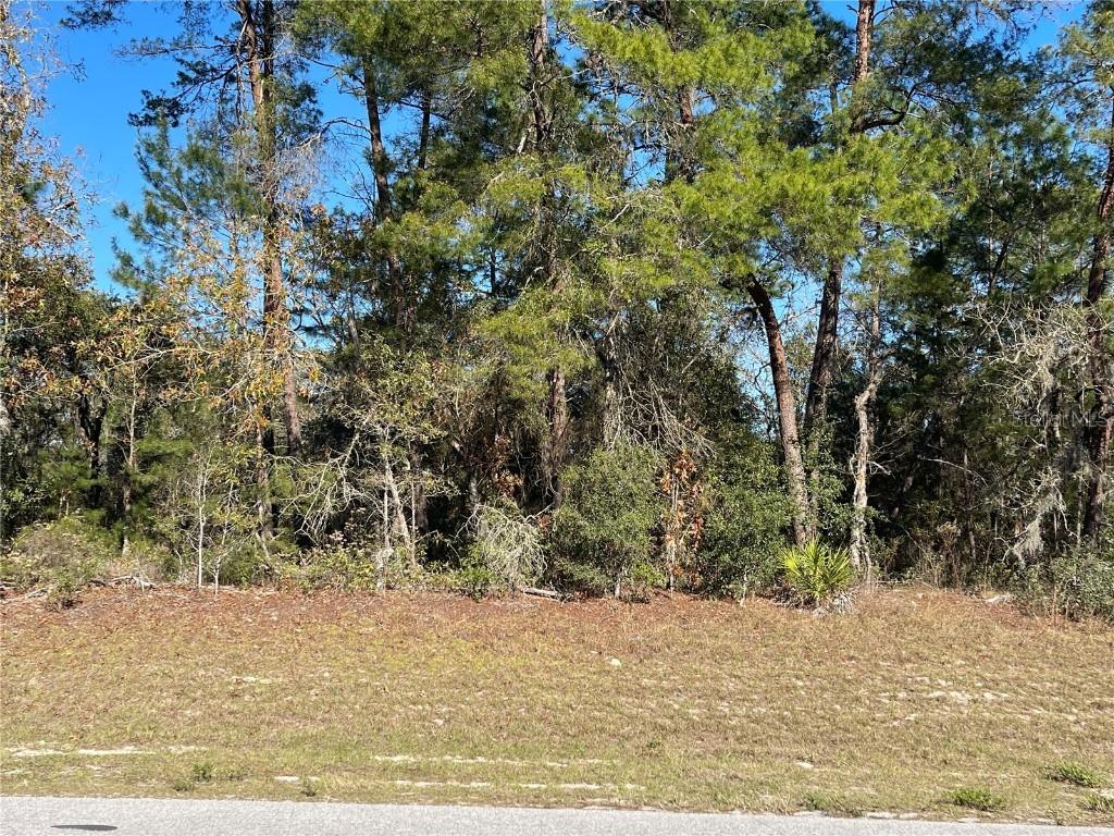 Marion Oaks Manor, Ocala, FL 34473