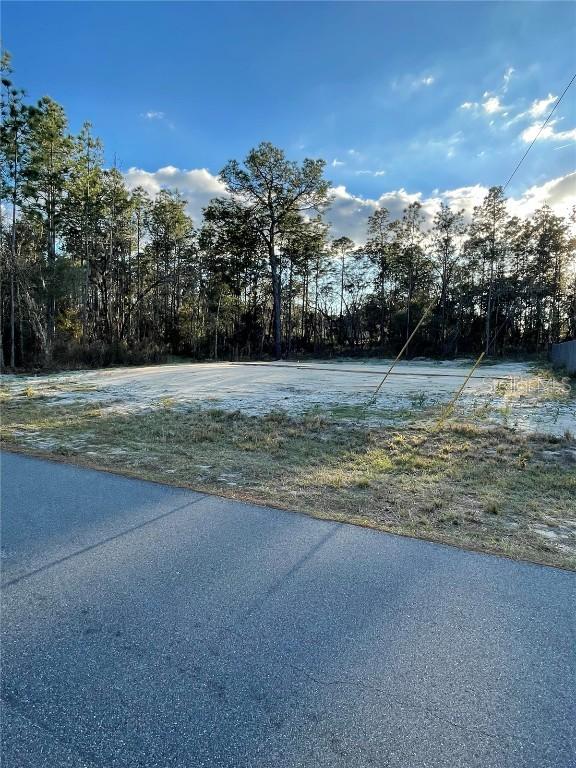 SW 73rd Avenue Rd., Ocala, FL 34473