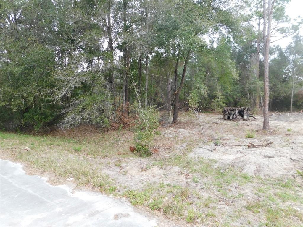 Locust Run Radial, Ocala, FL 34472