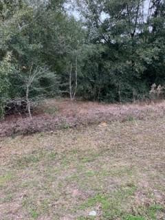 TBD Willow Rd., Ocala, FL 34472