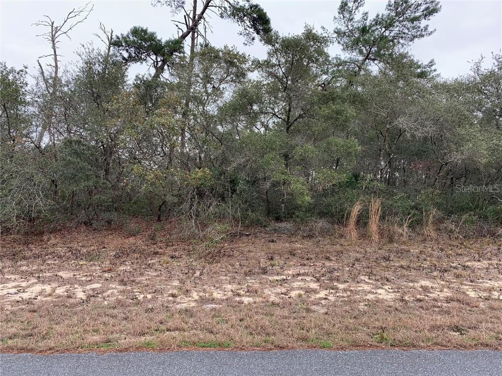 00 SW 30th Terrace Rd., Ocala, FL 34473