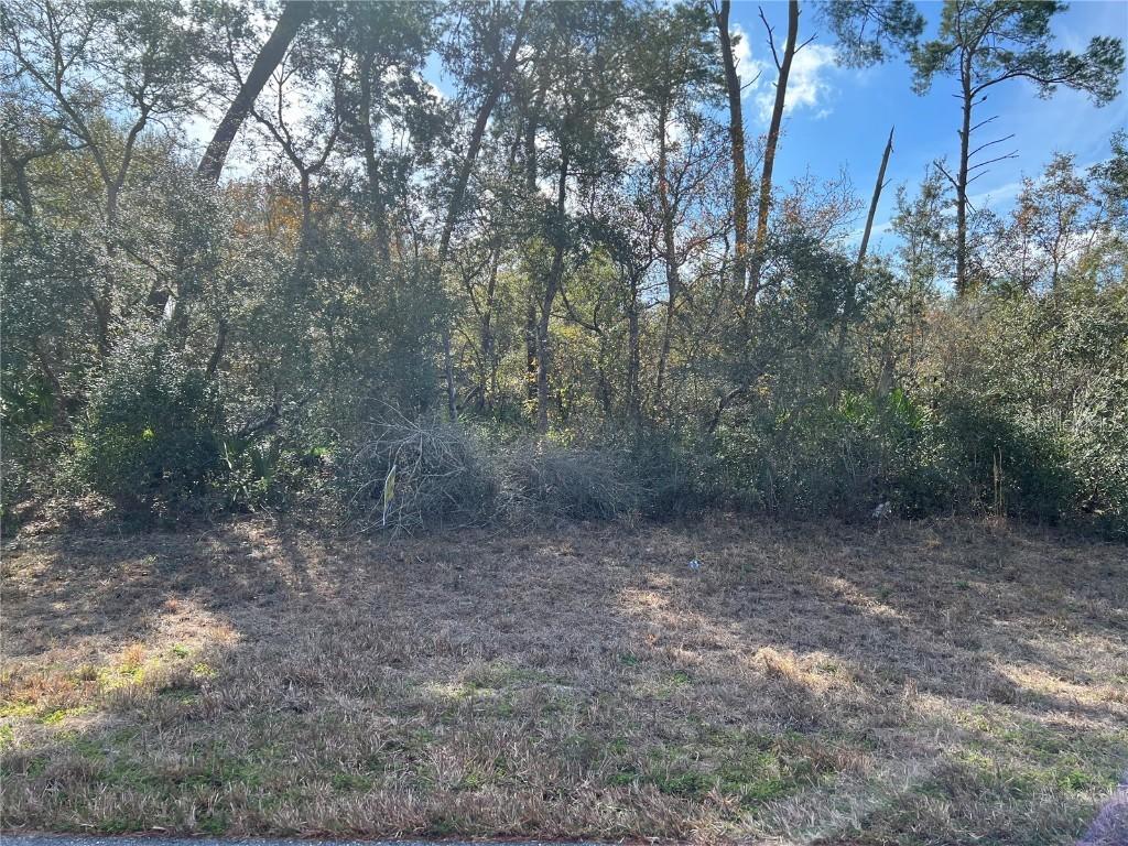 SW 131st Place Rd, Ocala, FL 34473