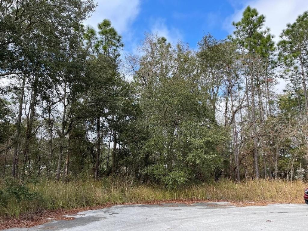 Hemlock Loop Dr., Ocala, FL 34472