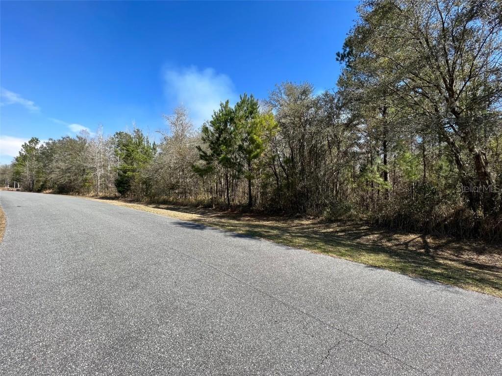 TBD NW 147th Ct. #D-11, Williston, FL 32696