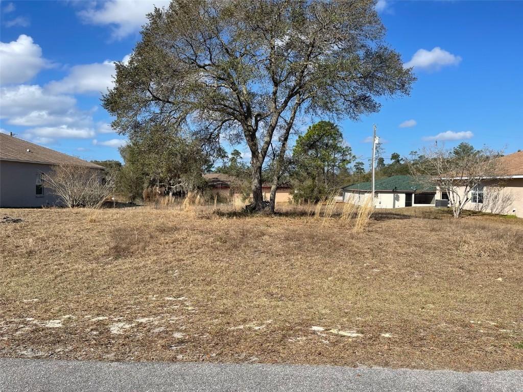 SW 157th Loop, Ocala, FL 34473