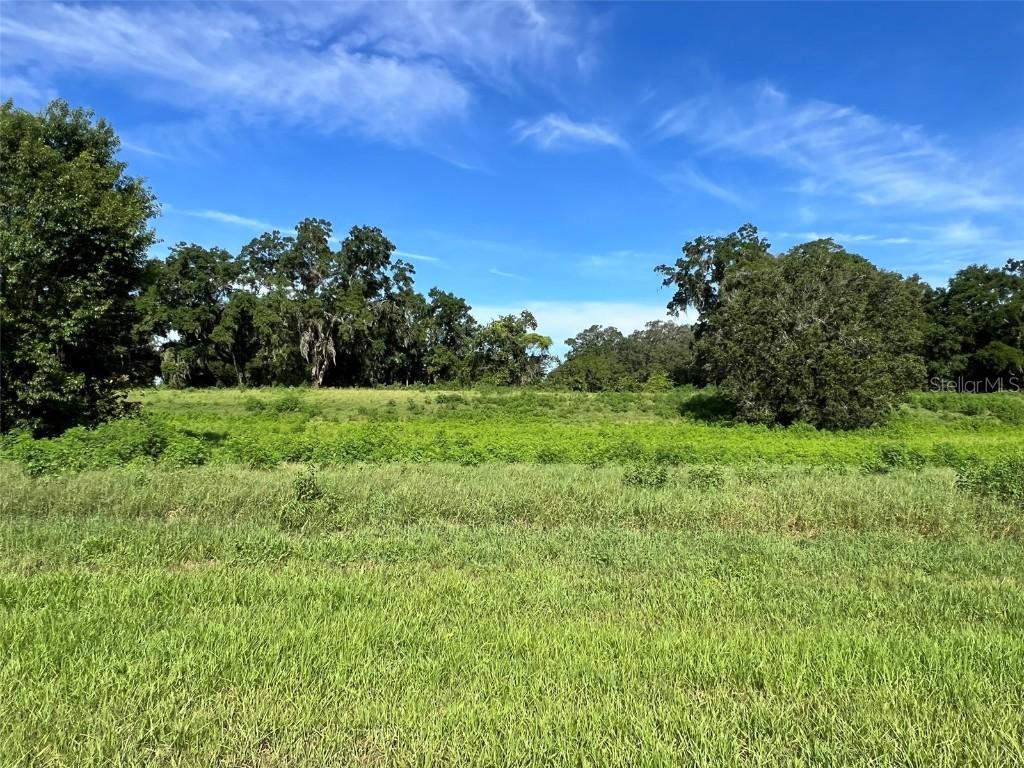 SE 8th Ave. #Lot 5, Ocala, FL 34480