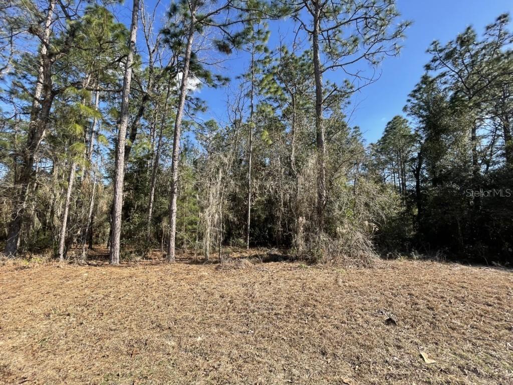 00 SW 60 Cir., Ocala, FL 34473