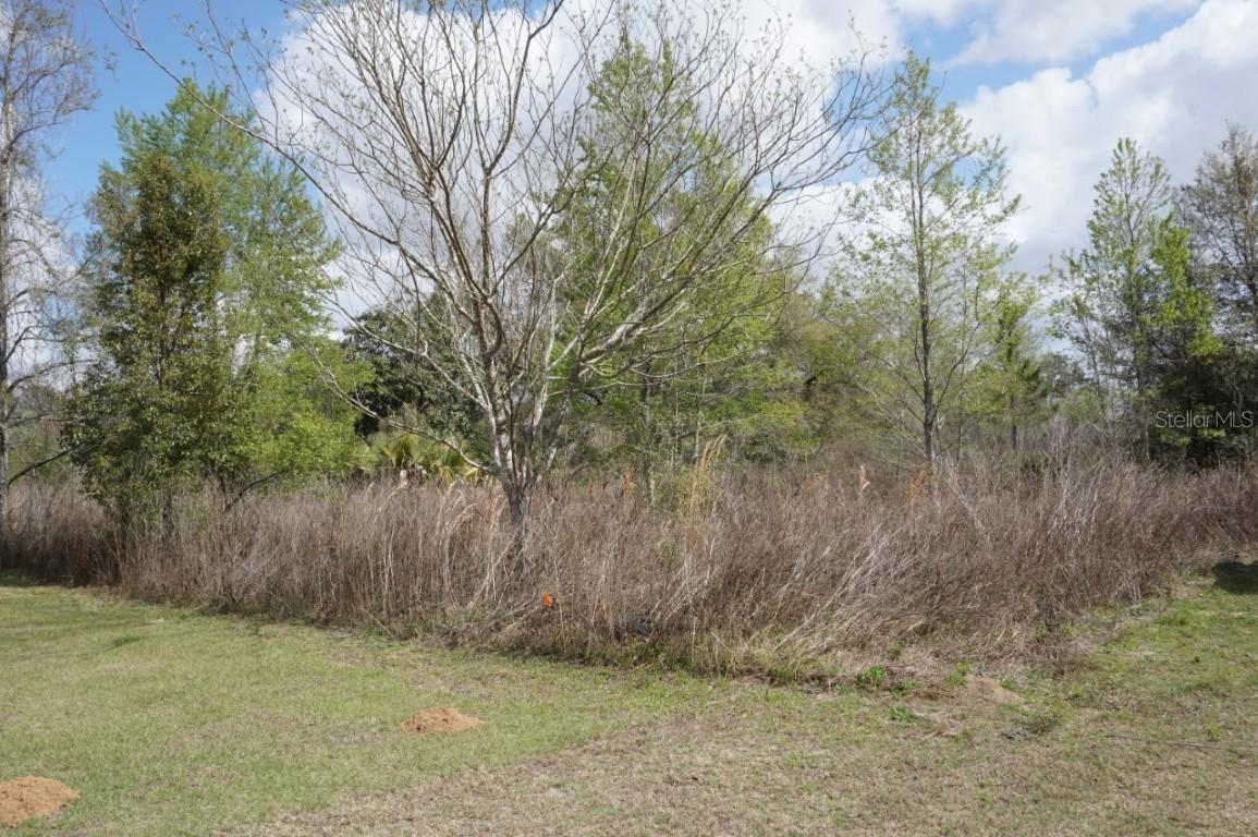NW 125th Pl., Citra, FL 32113