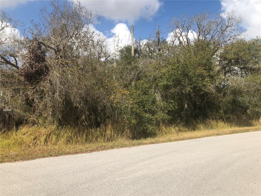 TBD Oak Cir., Ocala, FL 34472