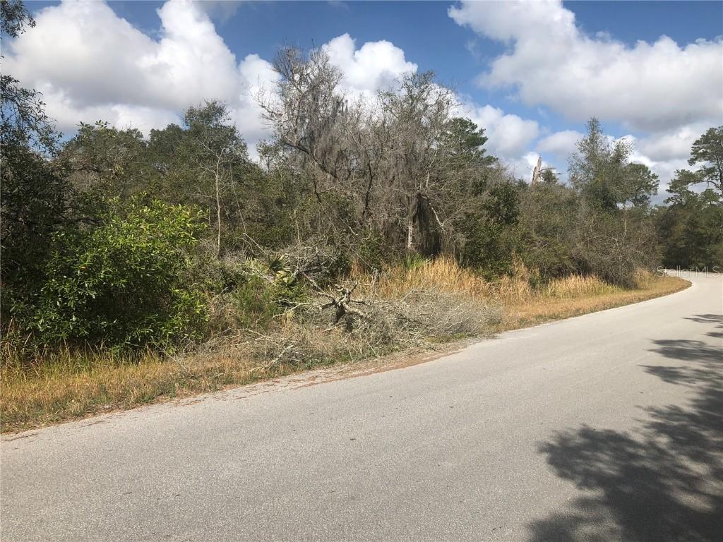 TBD Oak Cir., Ocala, FL 34472