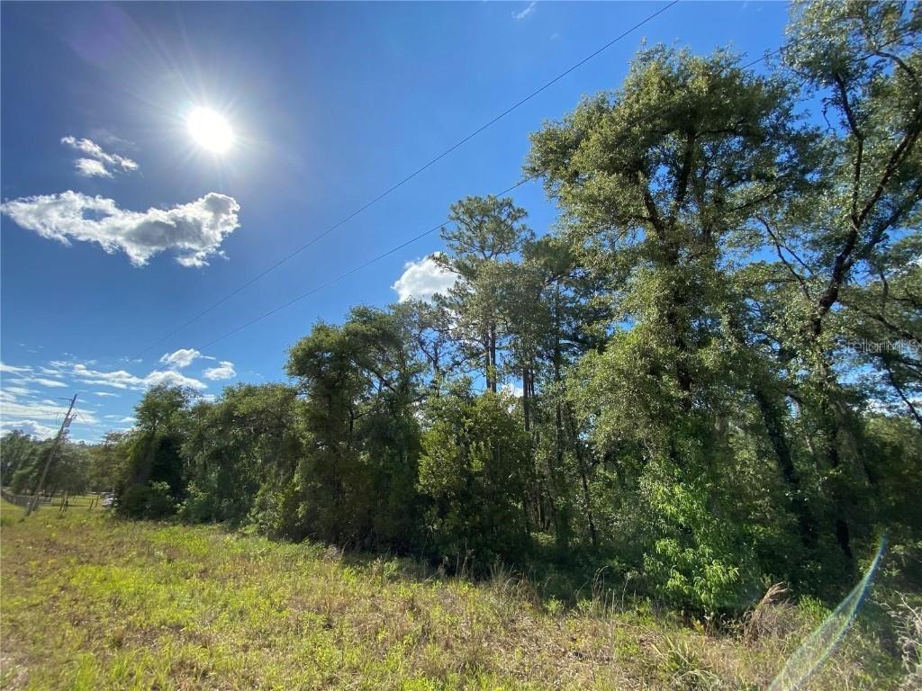 12151 NE 12th St., Williston, FL 32696