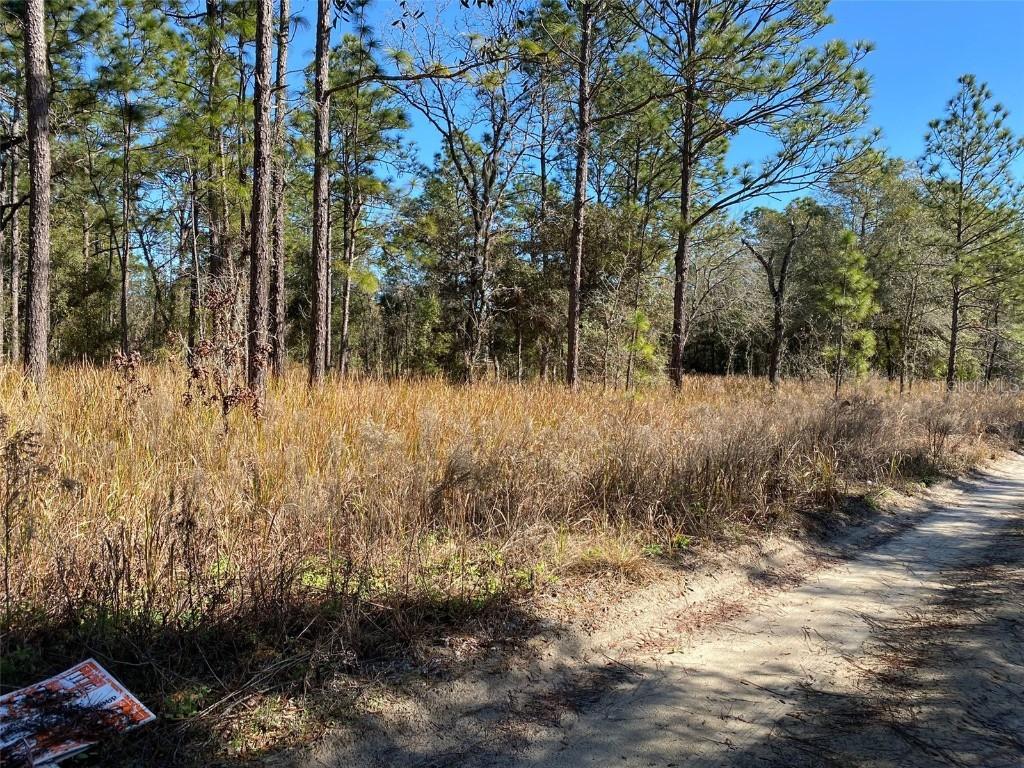 TBD SW 38th Pl., Ocala, FL 34481