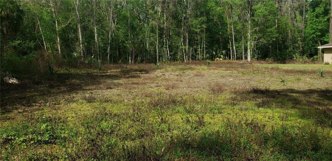 TBD SW 12th Pl., Ocala, FL 34481
