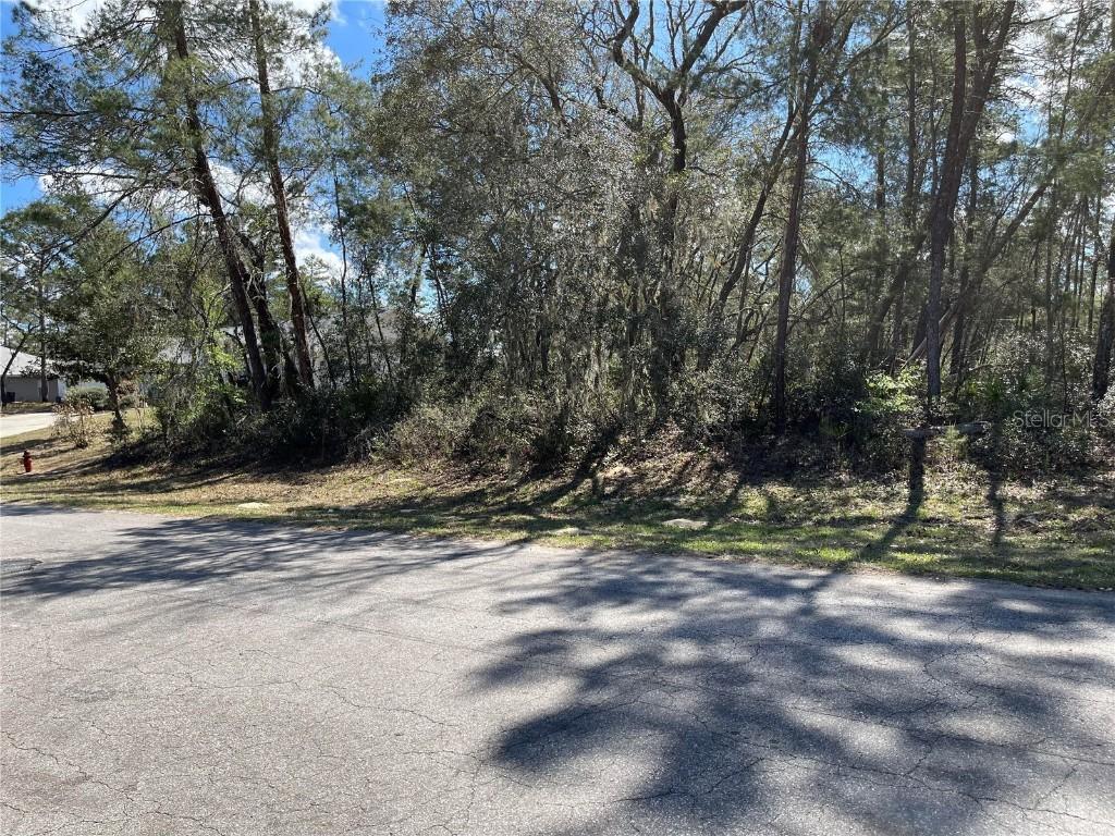 0 SW SW Marion Oaks Lane Ln., Ocala, FL 34473