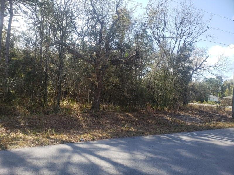 00(TBD) Hemlock Loop, Ocala, FL 34472