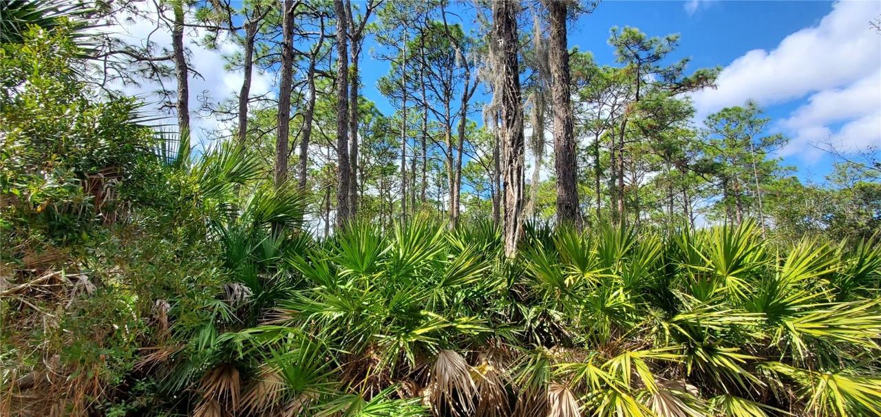 988 N Song Point, Crystal River, FL 34429