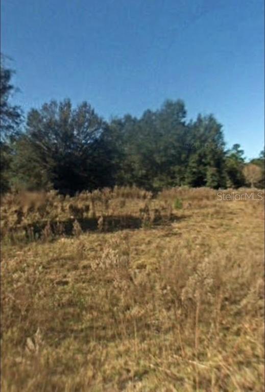Lot 2 and 3 SW 151st Ct., Ocala, FL 34481