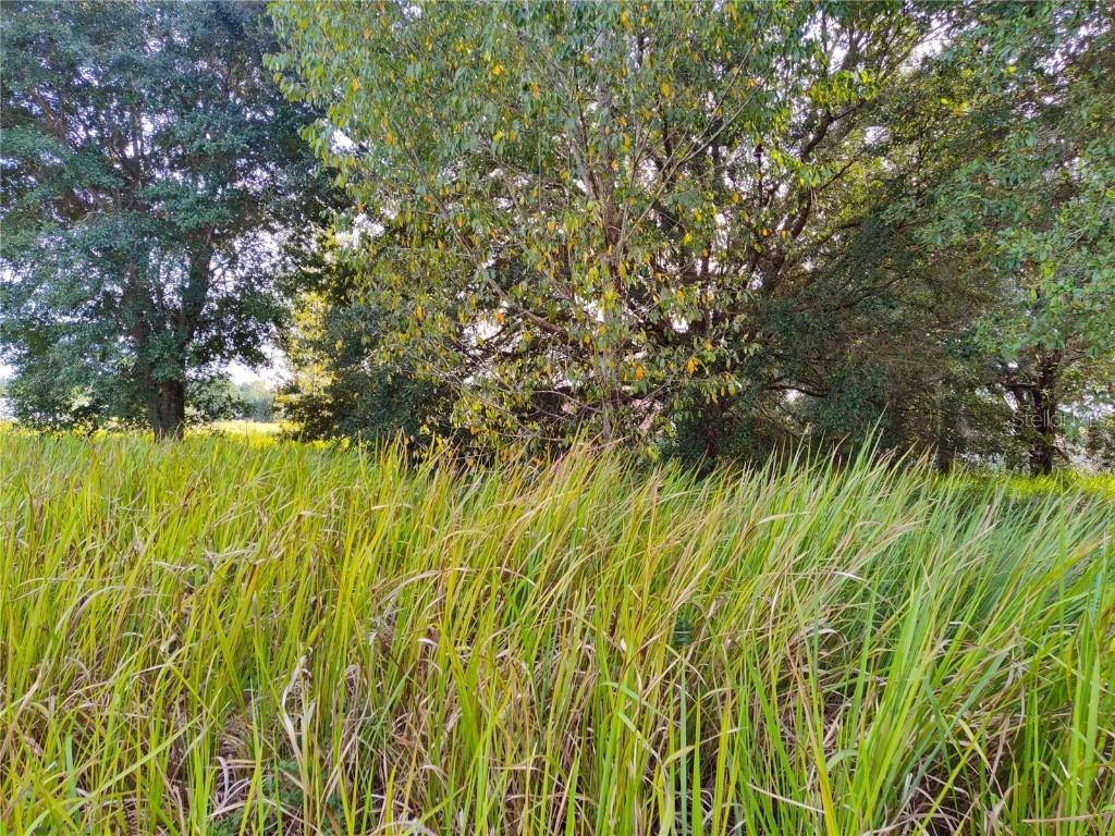 Dogwood Drive Loop, Ocala, FL 34472