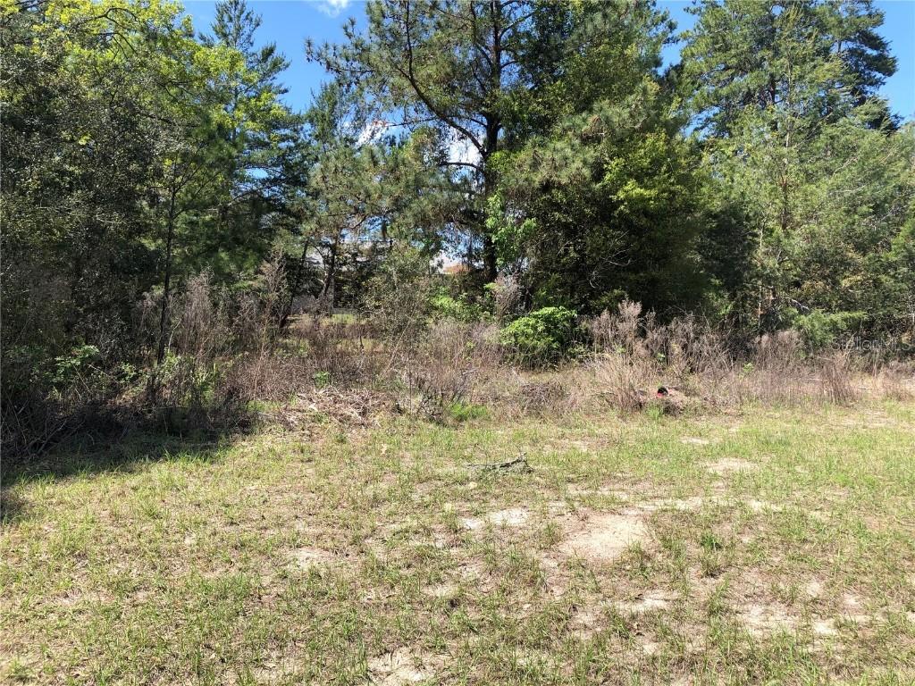 TBD SW 129th Loop, Ocala, FL 34473