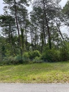 TBA SW 128 Street, Ocala, FL 34473