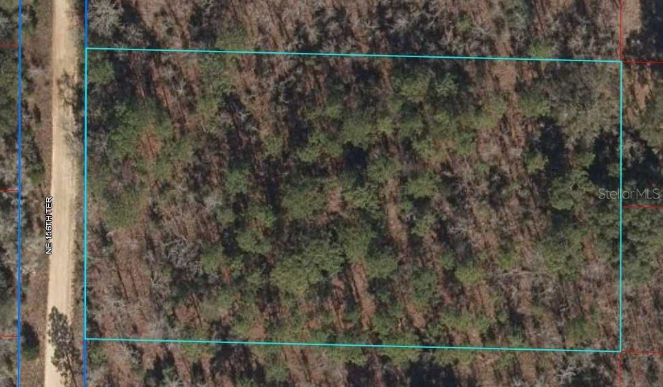 00 NE 156th Ter., Williston, FL 32696
