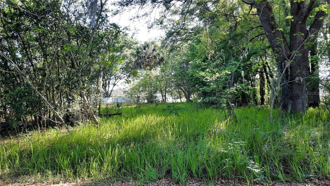 4 Dogwood Trail Course, Ocala, FL 34472