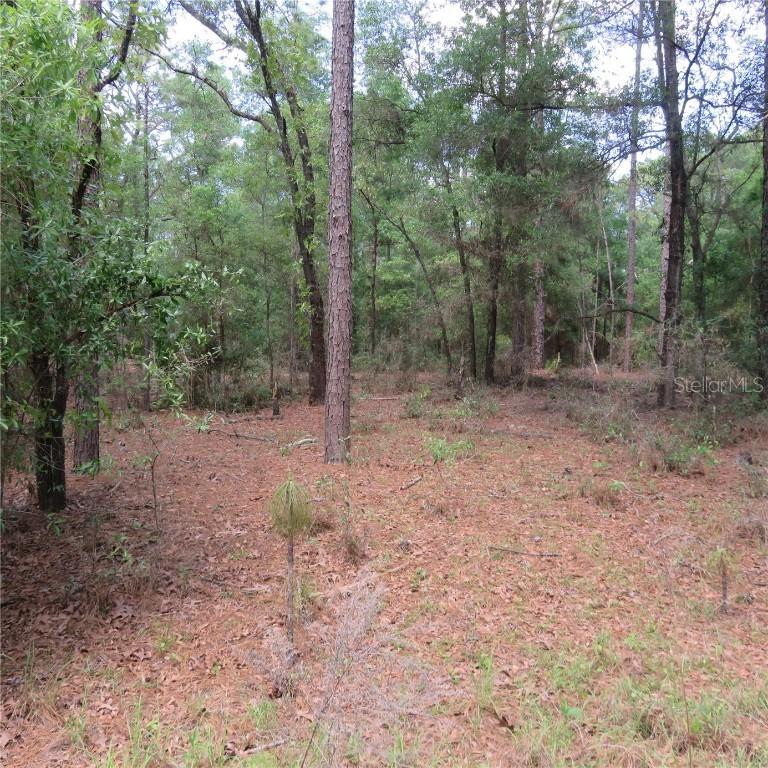 00 SW 25th Pl. #LOT 30, Ocala, FL 34481