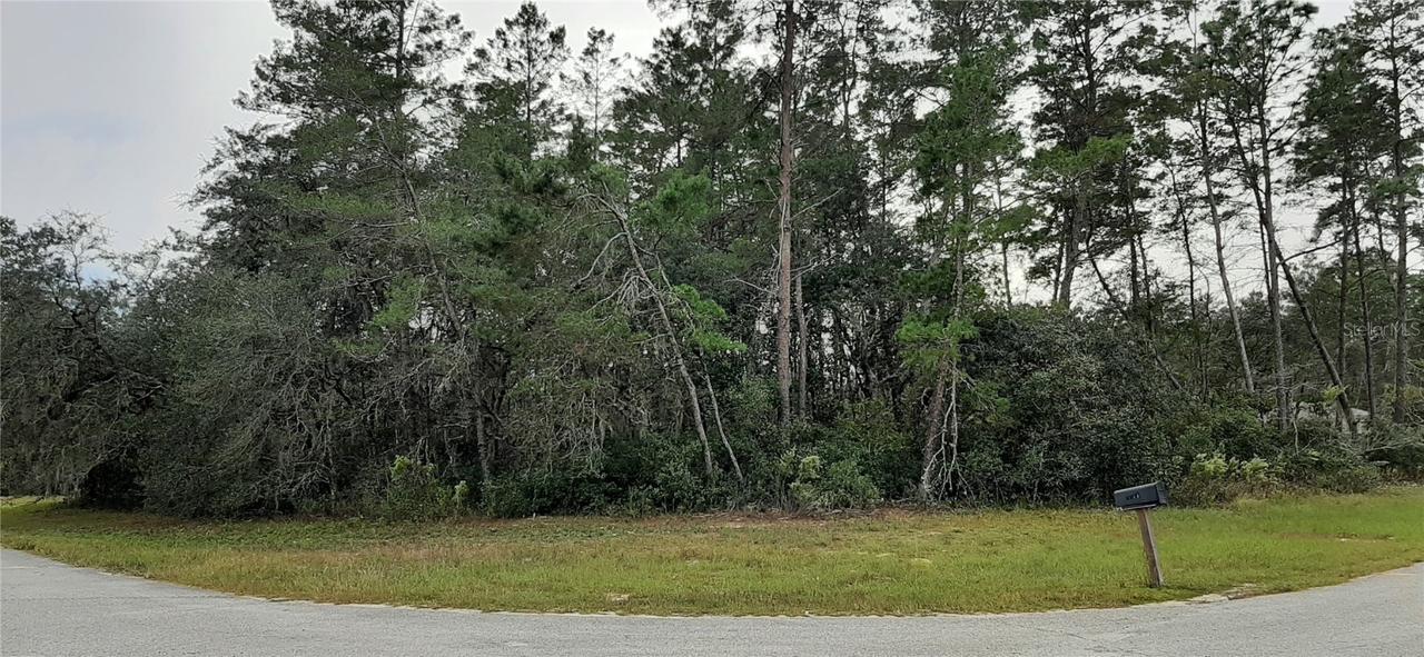 169th Ln Rd., Ocala, FL 34473