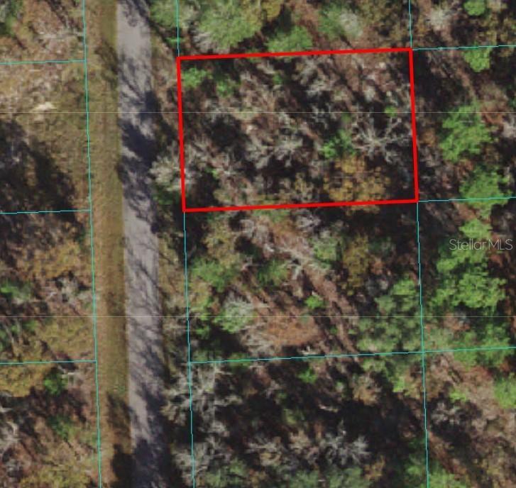 [Address Hidden by Seller], Ocala, FL 34472