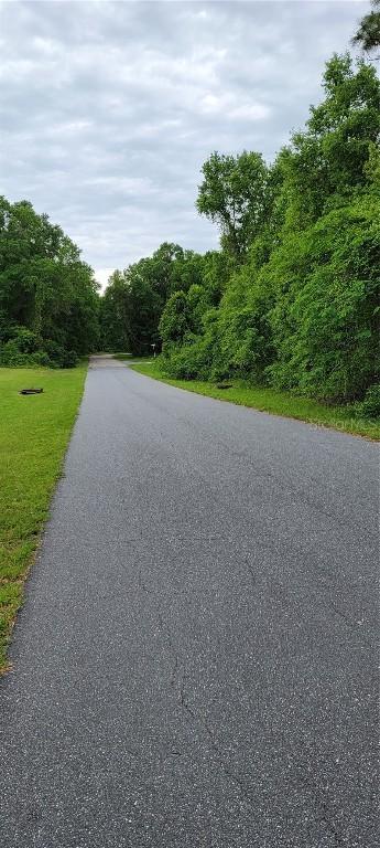 SW 168 Loop, Ocala, FL 34473