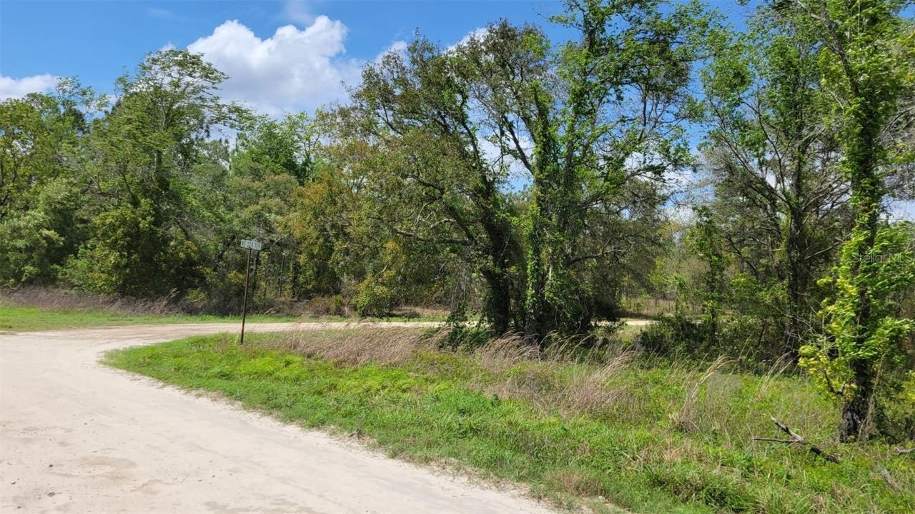 00 NE 10th St., Williston, FL 32696