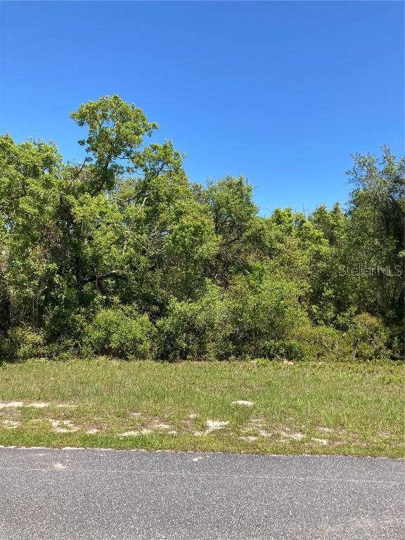 TBD SW 166th Place Road, Ocala, FL 34473