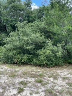 TBA SW 32 Terr Rd, Ocala, FL 34473