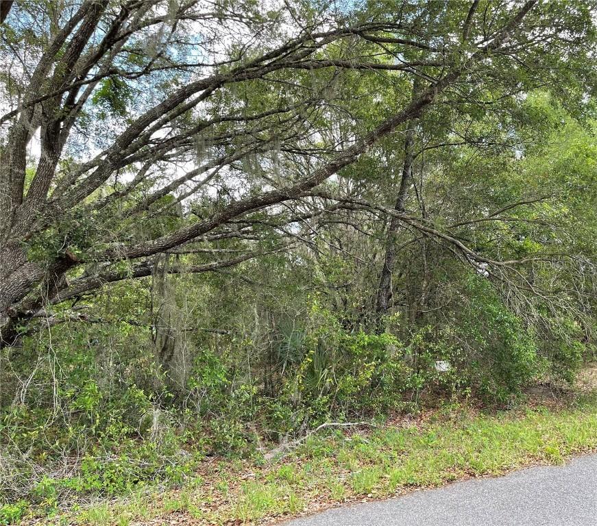 TBD Locust Pass Run, Ocala, FL 34472