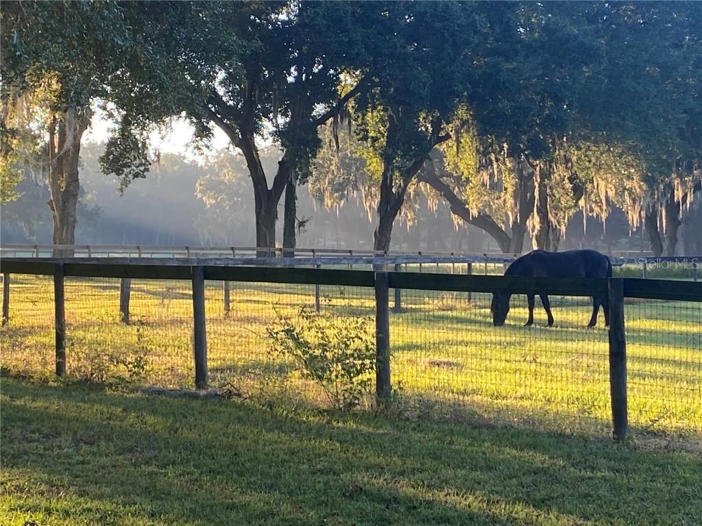 1001 SW 123rd Place, Lot 2, Ocala, FL 34473