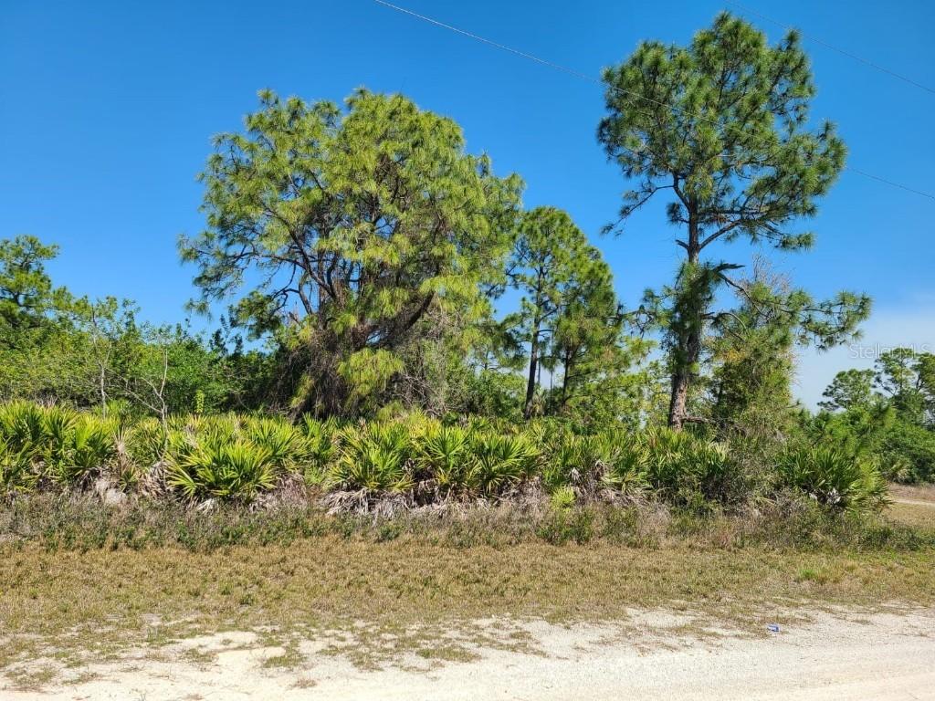 1100 W 18th St., Lehigh Acres, FL 33972