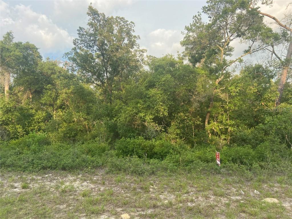 TBD SW 42nd Ter., Ocala, FL 34473