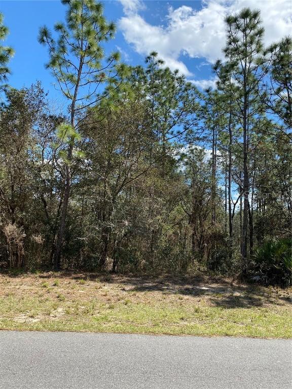 [Address Hidden by Seller], Ocala, FL 34481