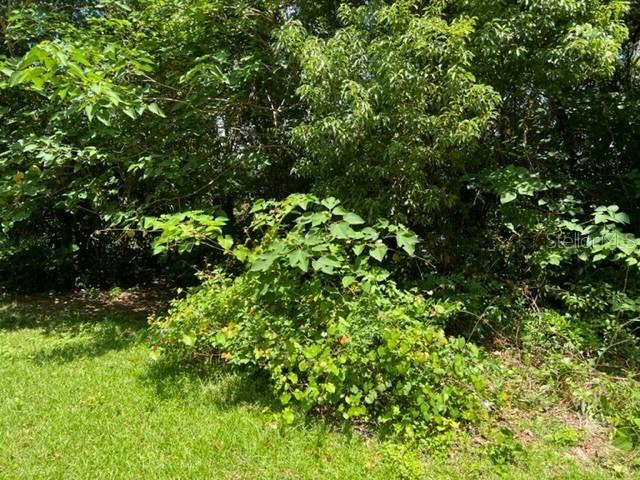 Locust Pass Run, Ocala, FL 34472