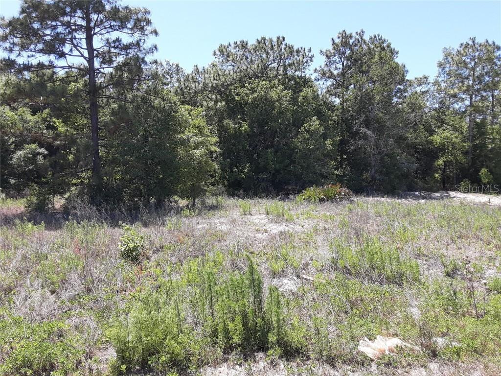 SW 152nd Ct., Ocala, FL 34481