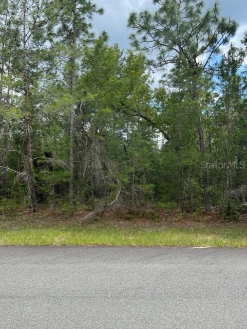 SW 179 Pl., Ocala, FL 34473