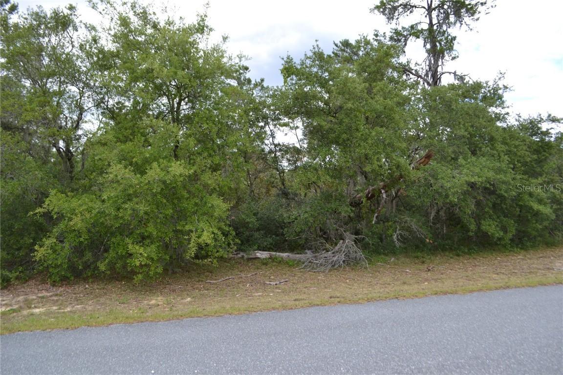 SW 31st Ter., Ocala, FL 34473