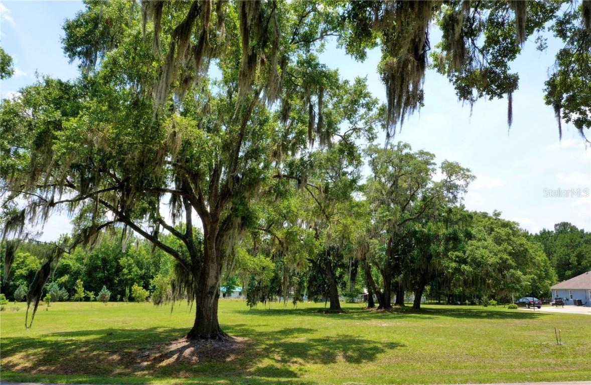 NE 49th St., Williston, FL 32696