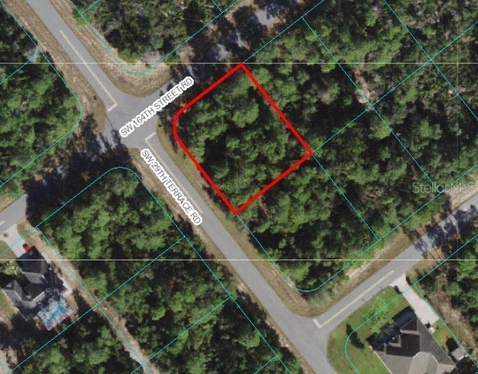 2894 SW 164th Street Rd., Ocala, FL 34473